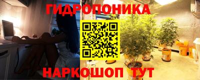 каннабис Кинель