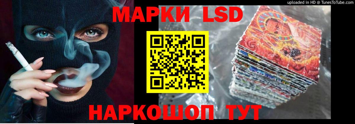 ссылка на мегу сайт  LSD-25 экстази ecstasy  ЛСД экстази  Вход с VPN  Кингисепп 