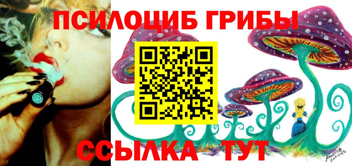 закладки  Псилоцибиновые грибы Psilocybine cubensis  Вход с VPN  Кингисепп 