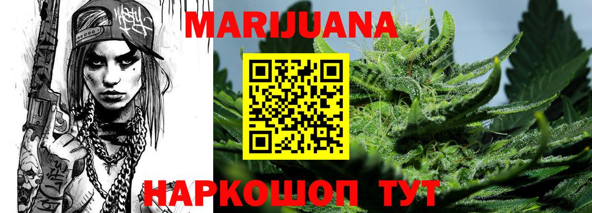 Конопля марихуана Кингисепп